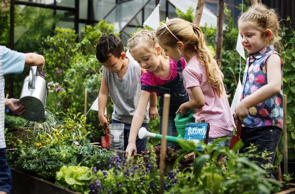 Kinder arbeiten gemeinsam im Gartenbeet, gießen Pflanzen und pflanzen Gemüse – Gartenprojekt in der Kita.