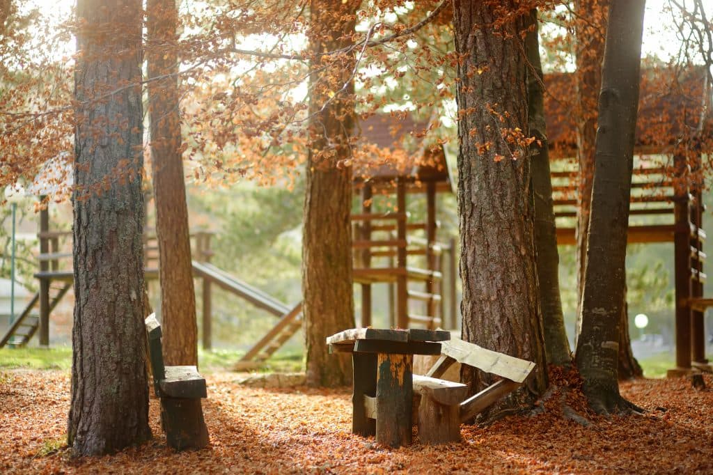 Waldspielplatz mit Holzbänken und Holztisch im Vordergrund an einem sonnigem Tag im Herbst.