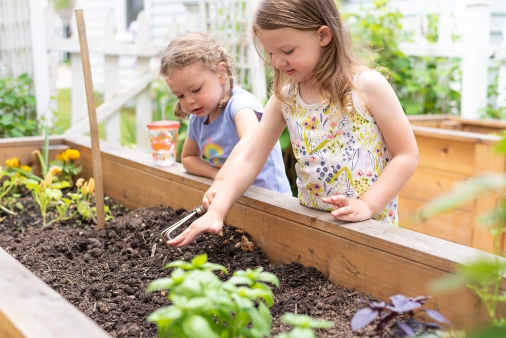 Zwei Mädchen bepflanzen ein Hochbeet im Garten mit Kräutern und Gemüse.