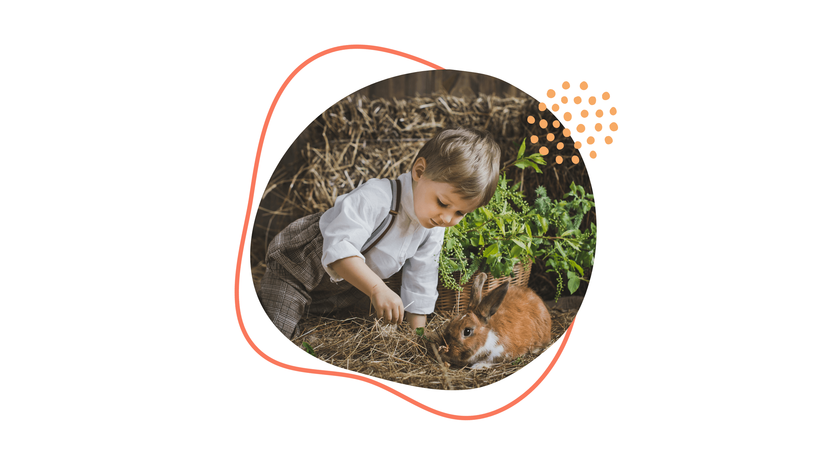 Ein kleiner Junge füttert ein braunes Kaninchen, das von Heu umgeben ist.