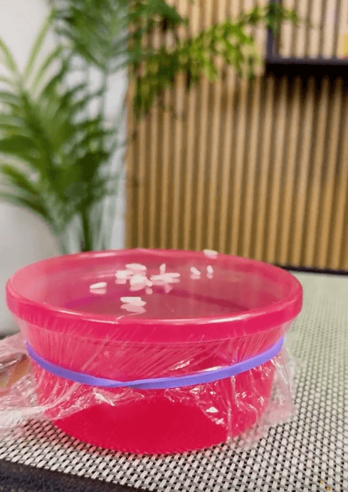 Rote Schüssel mit Frischhaltefolie bedeckt, darauf liegen Reiskörner, die durch die Schallwellen der Musik hüpfen.